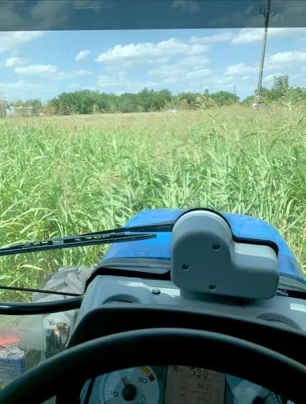 Tractor mowing thick grass along a railroad corridor